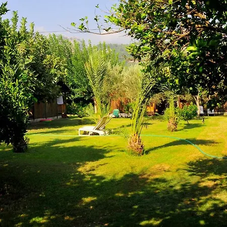 Deniz Çıralı