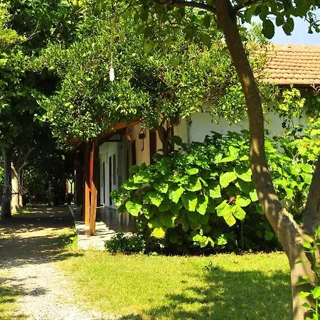 Deniz Alloggio in famiglia Çıralı