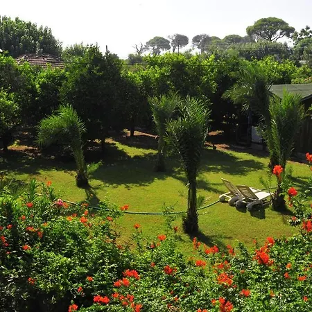 Deniz Homestay szállás *