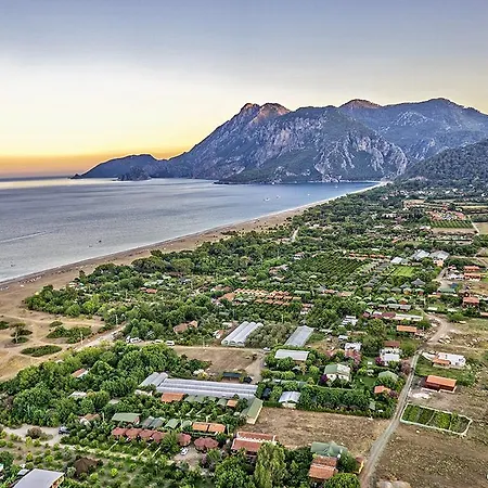 Deniz