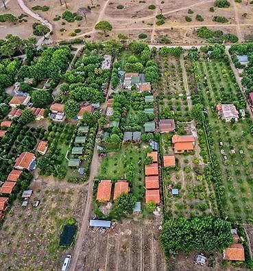 Deniz Çıralı